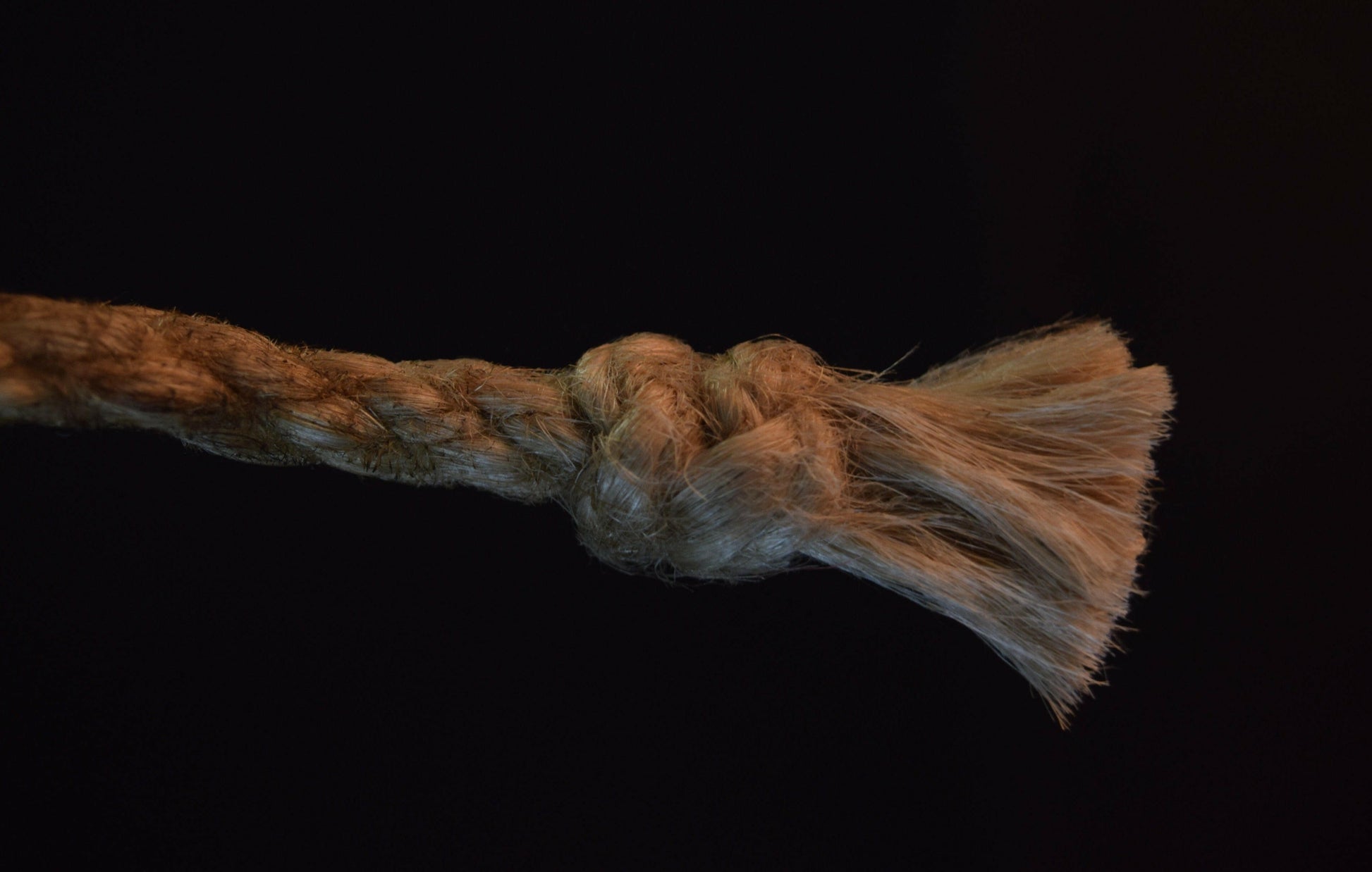 bondage kronenknoten