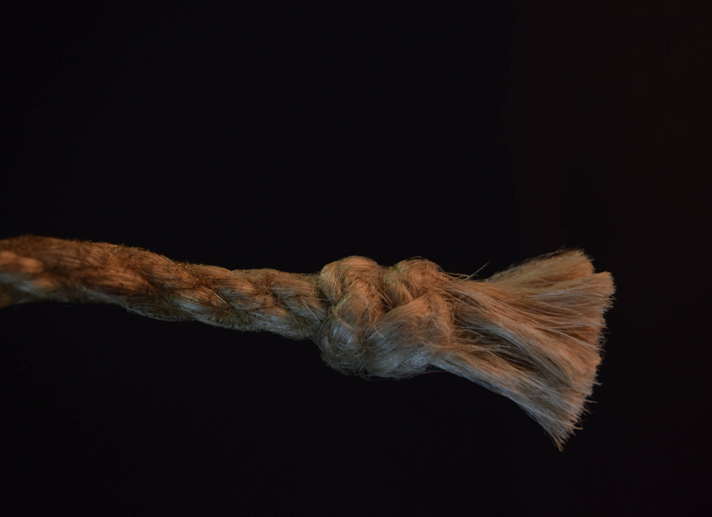 shibari seil kronenknoten