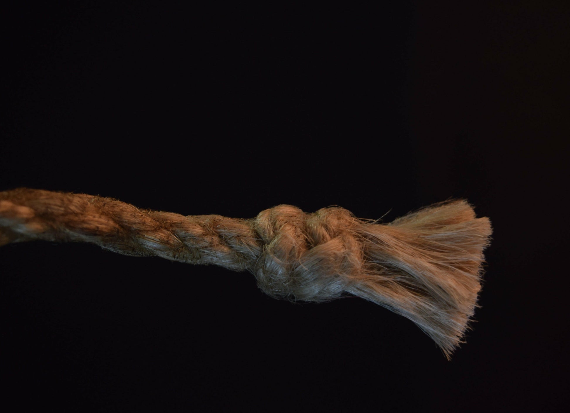 shibari seil kronenknoten